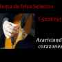 Costo Trios Musicales T.50267931