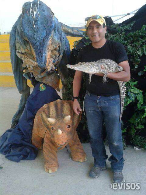 Show de dinosaurios para tu evento en Monterrey - Eventos | 523899 Show de dinosaurios para tu evento en Monterrey - Eventos | 523899