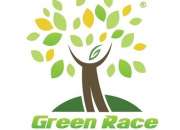greenrace10k org